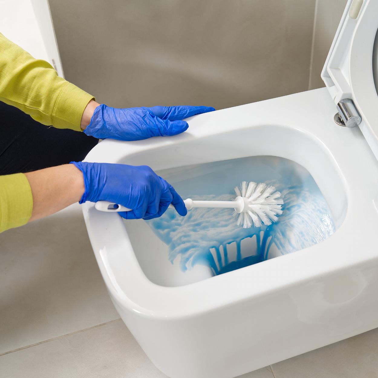 Cleaner scrubbing toilet bowl